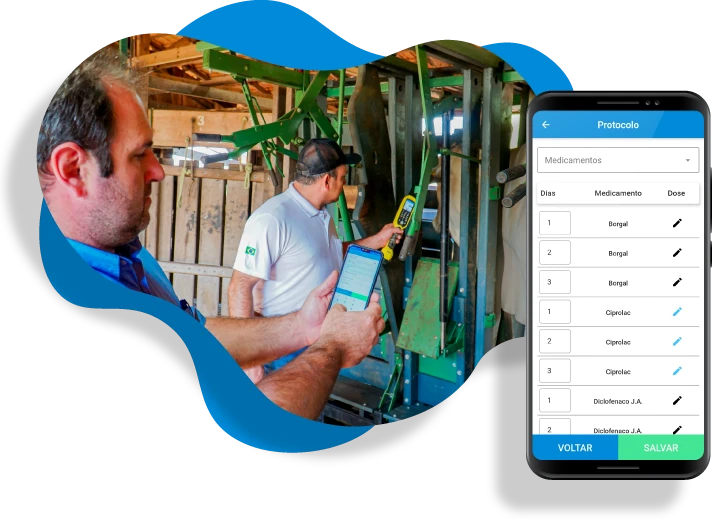 Cadastro ágil e simplificado - Leigado