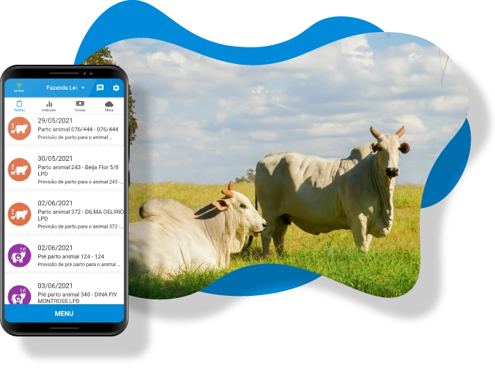 Reprodução dos animais - Leigado